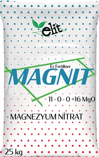 Magnit